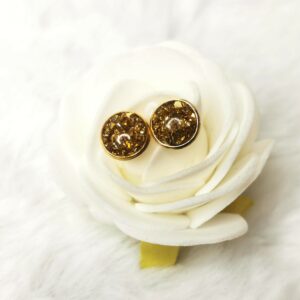 Boucles d'oreilles puces