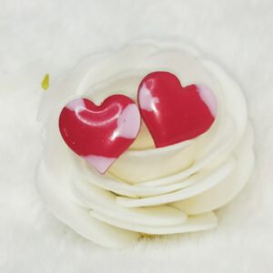 Boucles d'oreilles puces